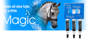 NAF Instant Magic Paste 3 Spritzen - FutterFEE /