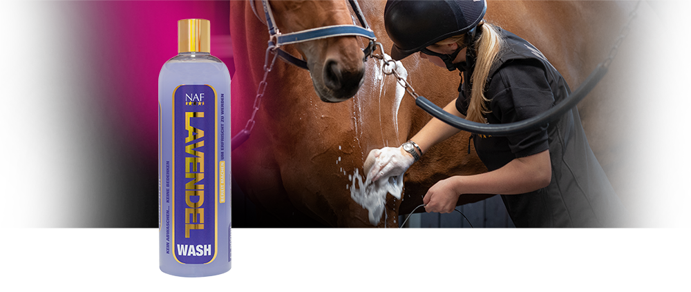 NAF Lavender Wash Shampoo 500ml