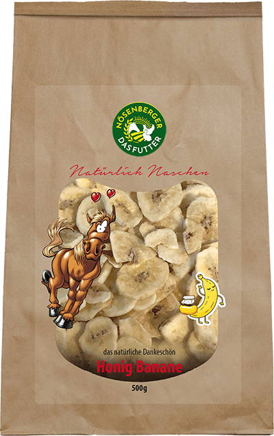 Nösenberger Honig Banane 500g