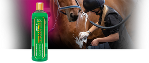 NAF Teatree and Mint Shampoo 500ml