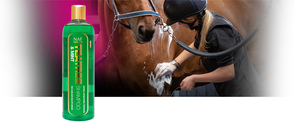 NAF Teatree and Mint Shampoo 500ml