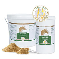 VETRIPHARM INGWER