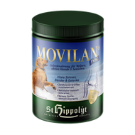 Movilan Dog