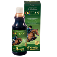 Qelan Energie-Booster