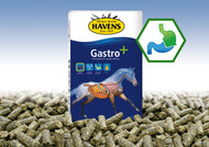 Gastro + 20 kg - FutterFEE