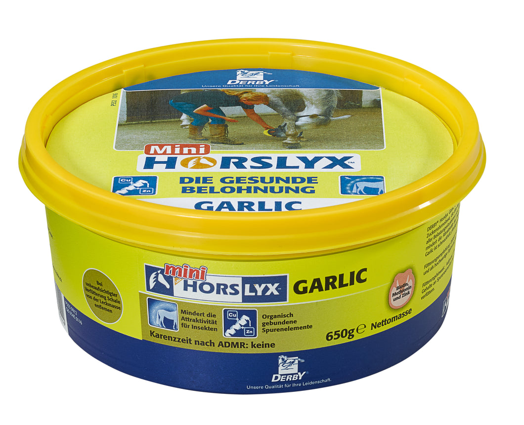 Horslyx Garlic - FutterFEE