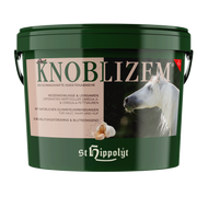 Knoblizem  - in verschiedenen Größen - FutterFEE /