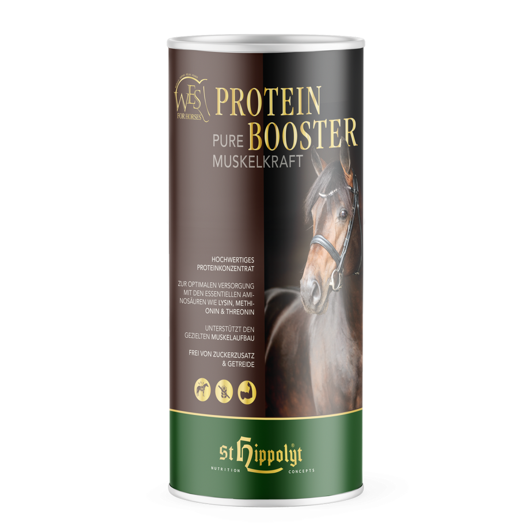 WES Protein Booster 0,750kg
