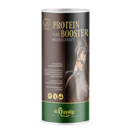 WES Protein Booster 0,750kg