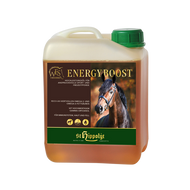 WES Energy Boost 5Liter