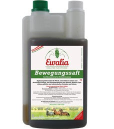 Bewegungssaft 1 Liter - FutterFEE