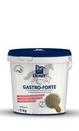 Derby Gastro Forte