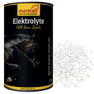 Marstall Elektrolyte - in verschiedenen Größen