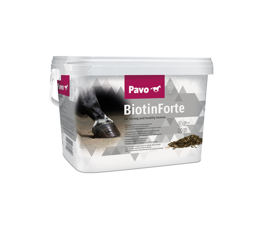 Biotin forte 3 kg - FutterFEE
