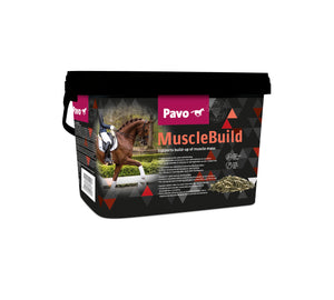 Muscle Build 3 kg - FutterFEE