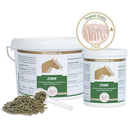 EQUIPUR - Zink forte 